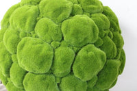 Yerba moss ball planter