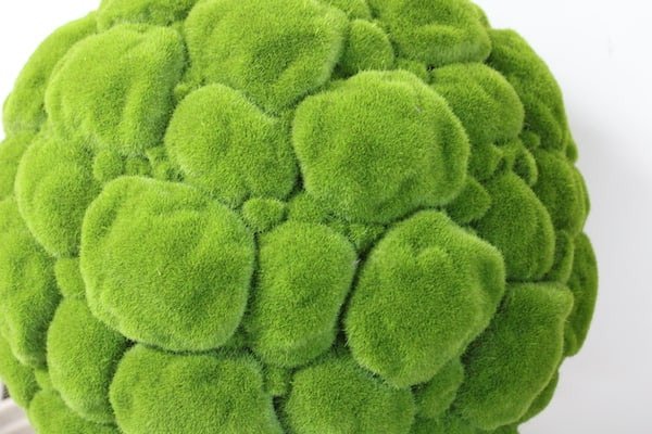 Yerba moss ball planter