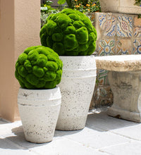 Yerba moss ball planter