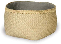 Yerba short round longan seagrass pot