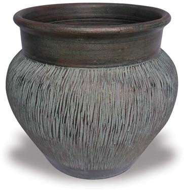 Zafiro with pot